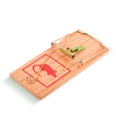 Средства против грызунов