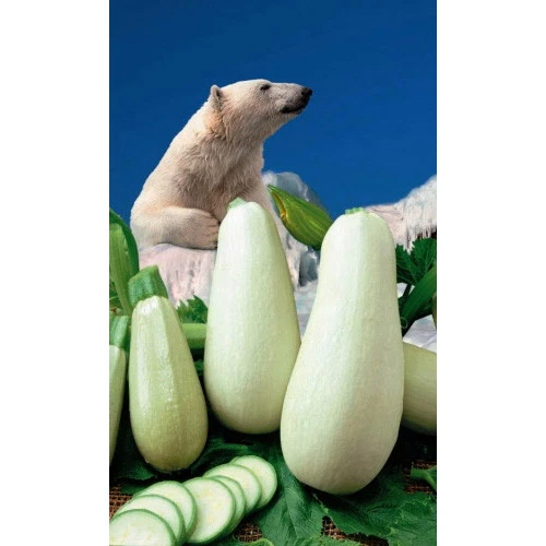 Семена Кабачок Северный Мишка 10шт (УД) Е/П
