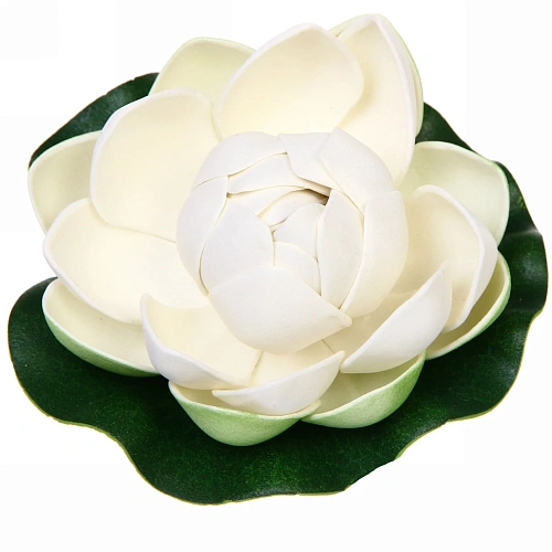 Растение водоплавающее "Кувшинка Розитта" d-10см белая