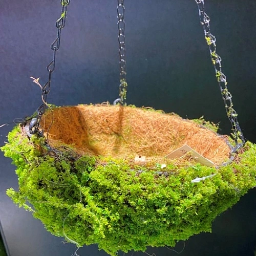 Кашпо для цветов "Сфагнум" с кокосовым волокном, подвесное d=20см, мох