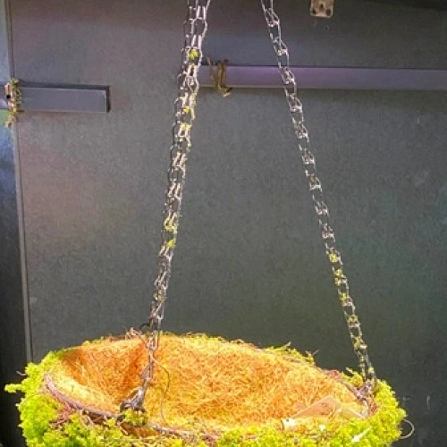 Кашпо для цветов "Сфагнум" с кокосовым волокном, подвесное d=24см, мох