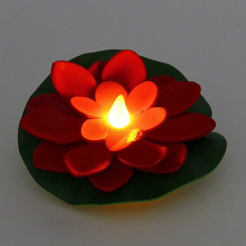 Растение водоплавающее Кувшинка d-10 см от контакта с водой, красный с подсветкой (RGB)_3